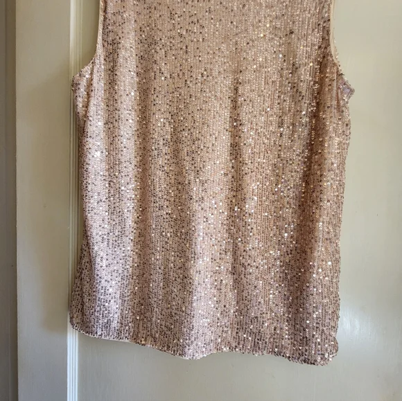 CLEARANCE LOFT Sequin Sleeveless Top - Rose Gold - Picture 9 of 13